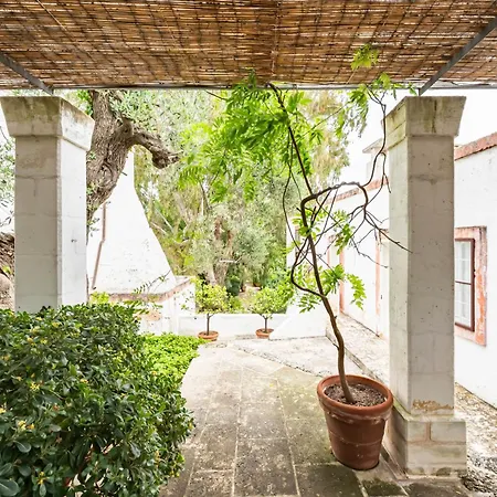 Masseria Bouganvillea By Rentbeat Villa *